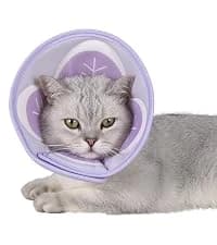 Adjustable Dog and Cat Cone — Soft Recovery Cat Cone Collar — collection imagery