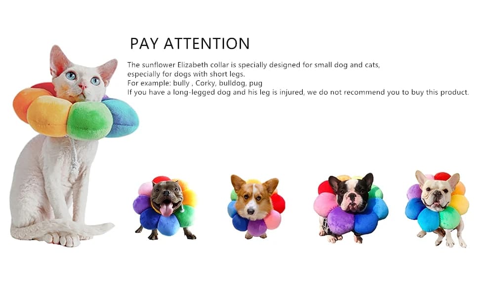 Adjustable Pet Recovery Collar — product details