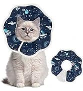 Adjustable Recovery Pet Cone E-Collar for Cats Kittens Rabbits — Plastic Elizabeth Protective Collar Wound — collection imagery