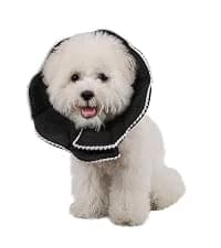 Adjustable Dog and Cat Cone — Soft Recovery Cat Cone Collar — collection imagery