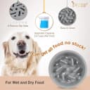 Dog Slow Feeder - Reduce Slip Puzzle Bowl for Raised Pet Feeders - Interactive Bloat Stop Elevated Diners