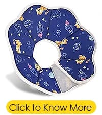 ADVENTUREMORE Pet ID Tag-2pcs QR Code Tag & Smart ID Tag Small Personalized Name Plate with Online Profile — collection imagery