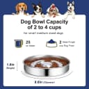 Slow Feeder Dog Bowl Stainless Steel — Metal Non-Slip Dog Food Bowls