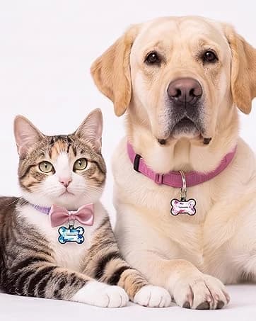 Silent ABS Dog ID Tag with QR Code - Classic Black - No App Required Smart Pet Tag — collection imagery