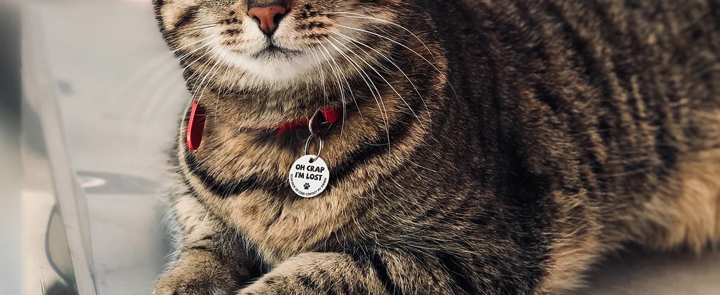 Stainless Steel QR Code Dog ID Tags Cat Tags — Pet Online Profile - Scan QR Receive Instant Pet Location Alert — product details