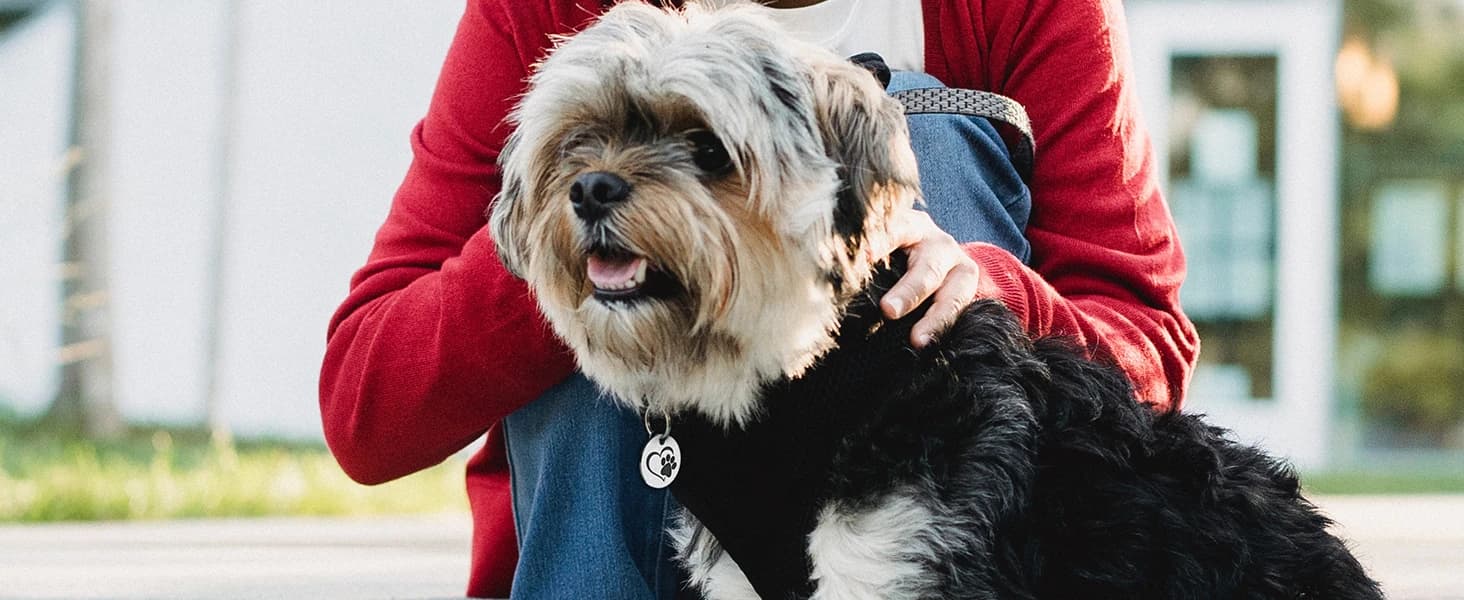 Stainless Steel QR Code Dog ID Tags Cat Tags — Pet Online Profile - Scan QR Receive Instant Pet Location Alert — product details
