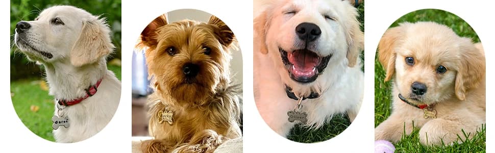 Name Pattern Art Design - Dog Tags Personalized for Pets - Custom Cats Dogs ID Tag - Stainless Steel Deep — collection imagery