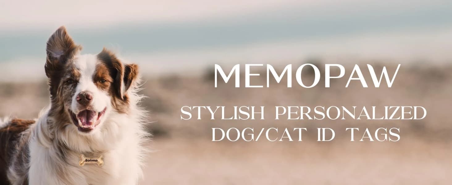 Dogs ID Tags Personalized Double Sided Deep Engraved Cat and Dog Collar Charm Round Shape Frosting Process — product details