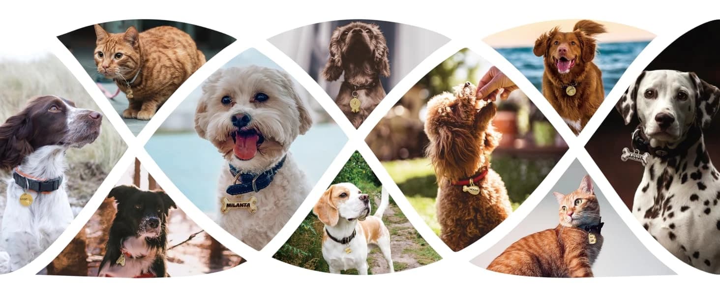 Dogs ID Tags Personalized Double Sided Deep Engraved Cat and Dog Collar Charm Round Shape Frosting Process — product details