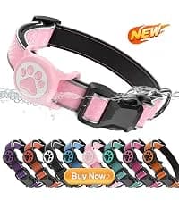 Premium Airtag Dog Collar，with IP68 Waterproof AirTag Holder — collection imagery