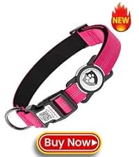 Waterproof Airtag Dog Collar Holder for Apple Air Tag — collection imagery