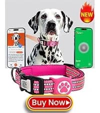 Waterproof Airtag Dog Collar Holder for Apple Air Tag — collection imagery