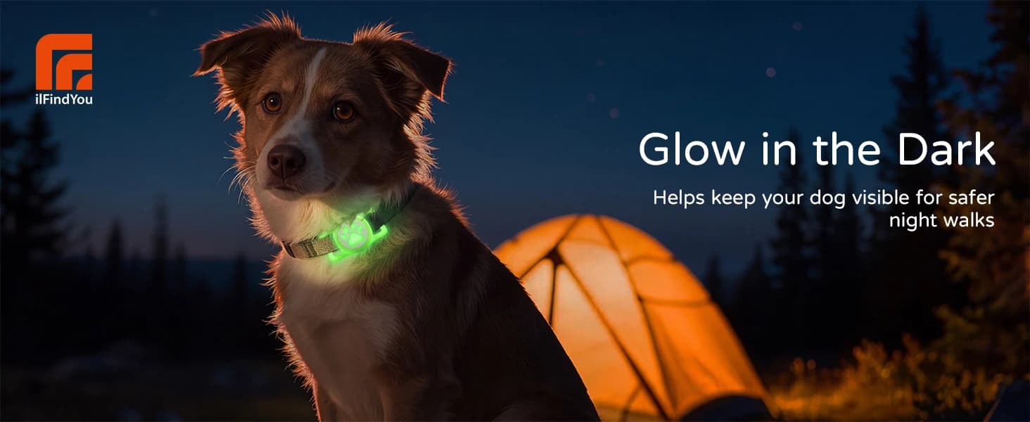 Waterproof Airtag Dog Collar Holder for Apple Air Tag — product details