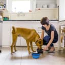 Large Collapsible Dog Bowls 2 Pack — 34oz Foldable Dog Travel Bowl