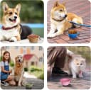 2-Pack Silicone Collapsible Dog Bowls