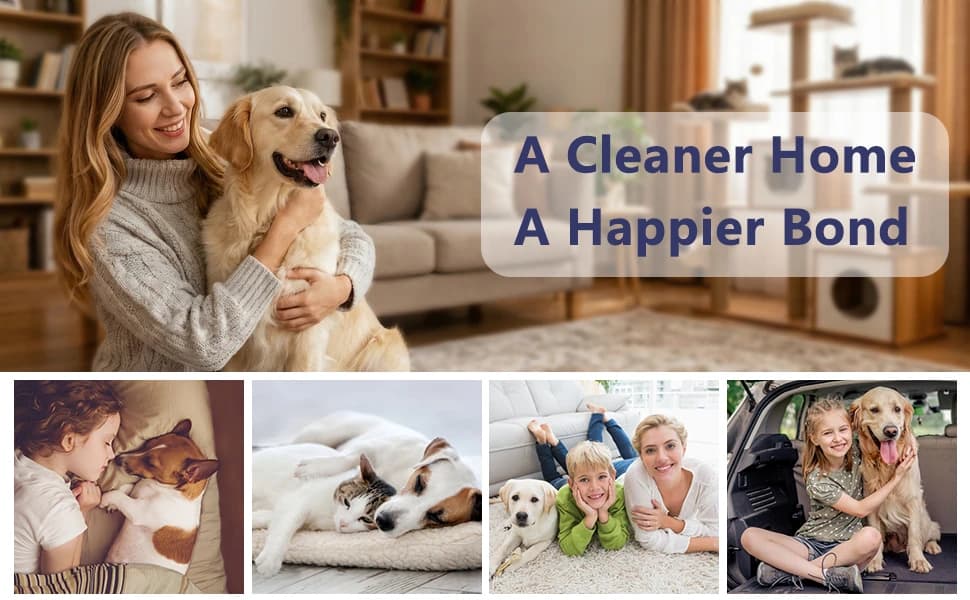 3PCS Lint Brush and Carpet Scraper & Pet Hair Remover for Furniture — product details
