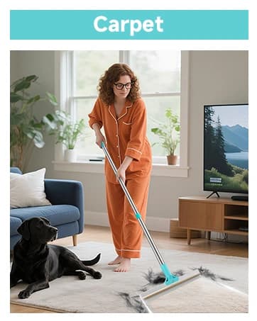 Carpet Rake for Pet Hair Removal Tool — collection imagery