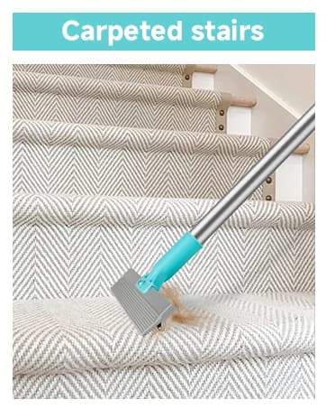 Carpet Rake for Pet Hair Removal Tool — collection imagery