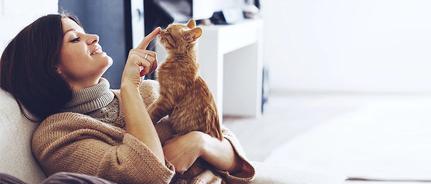 Cat Nail Clipper with LED Light — collection imagery