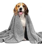 Pet Hair Removal Glove for Dogs and Cats — collection imagery