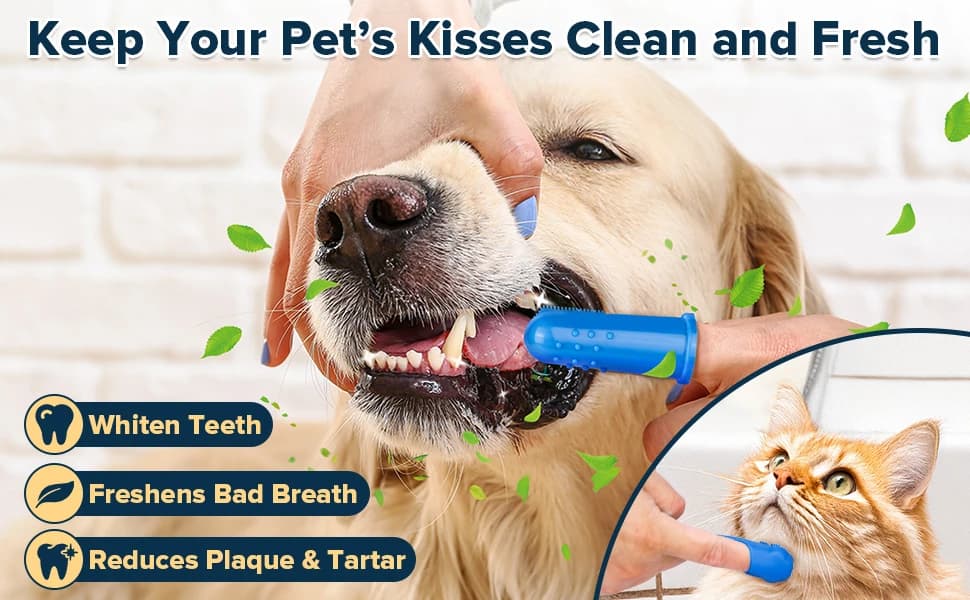 6PCS Grooming and Bath Supplies for Dogs — product details