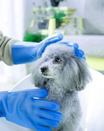 Silicone Pet Grooming Gloves Dog Washing Gloves for Bathing Massaging — collection imagery