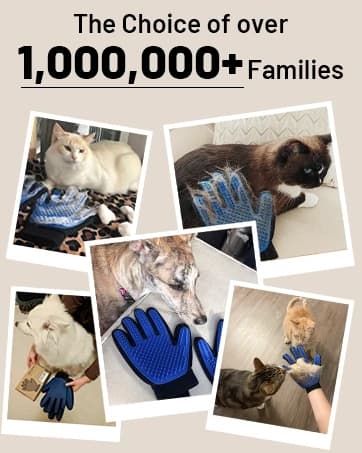 Pet Hair Removal Glove with 255 Silicone Tips for Dogs and Cats — collection imagery
