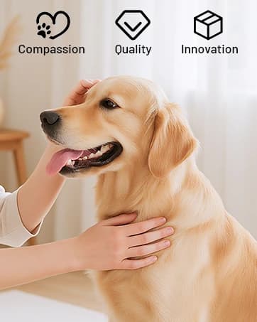 Pet Hair Removal Glove with 255 Silicone Tips for Dogs and Cats — collection imagery