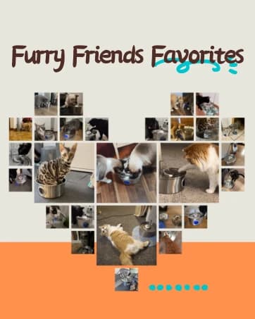 Cat Water Fountain Stainless Steel: 2.2 L Cat Fountain for Drinking - Automatic Pet Water Fountain for Cats — collection imagery