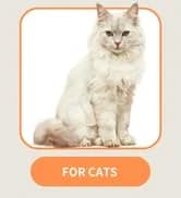 Cat Water Fountain Stainless Steel: 2.2 L Cat Fountain for Drinking - Automatic Pet Water Fountain for Cats — collection imagery