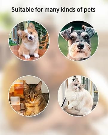 Cat Water Fountain Filters — Pet Water Fountain Replacement Filter — collection imagery
