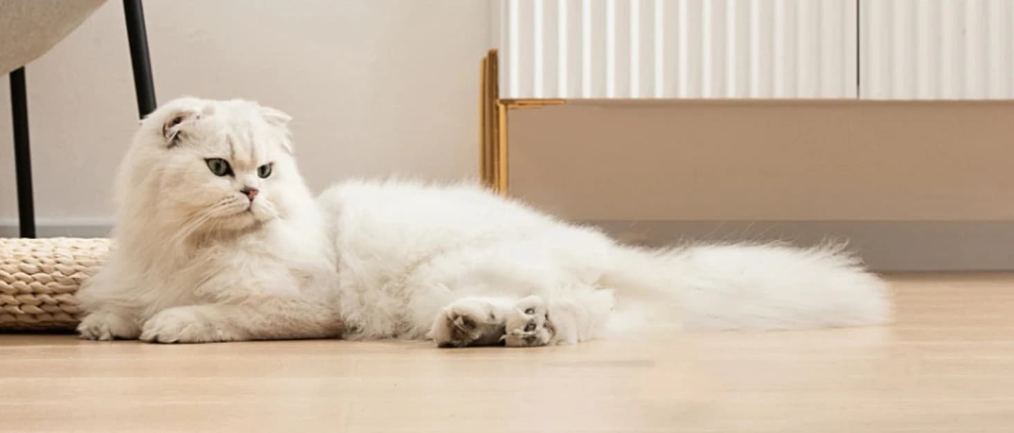 Cat Water Fountain Filters Replacement and Sponges (3 Filters+3 Sponges) — collection imagery