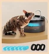 Cat Water Fountain Filters — Pet Water Fountain Replacement Filter — collection imagery