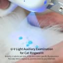 Cat Nail Clipper with LED Light