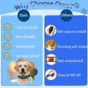 Waterproof Airtag Holder for Dog Collar — Black