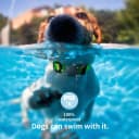 AirTag Dog Collar Holder Compatible with Apple Air Tag — 1st & 2nd Gen