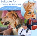 Waterproof Airtag Holder for Dog Collar — Black