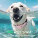Premium Airtag Dog Collar，with IP68 Waterproof AirTag Holder