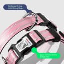 Premium Airtag Dog Collar，with IP68 Waterproof AirTag Holder