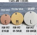 Stainless Steel Pet ID Tag — Personalized Dog Name Tags