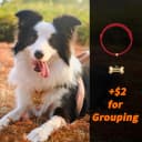 Dogs Tag Stylish Personalized Double Sided Deep Engraved Cat and Dog Tags Engraved for Pets Bone Balloon Shape