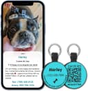 Silent Silicone QR Code Pet ID | Personalized Dog and Cat Collar Tag | Online Profile with Scanned Location