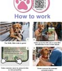 QR Code Cat Tag — Modifiable Pet Online Profile Page