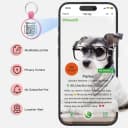 QR Code Cat Tag — Modifiable Pet Online Profile Page