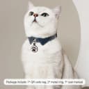 QR Code Cat Tag — Modifiable Pet Online Profile Page