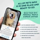 Stainless Steel QR Code Pet ID | Dog and Cat Collar Tag | Personalized Online Profile | Scanned Location Alert