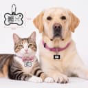 Silent ABS Dog ID Tag with QR Code - Classic Black - No App Required Smart Pet Tag