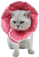 Adjustable Dog and Cat Cone — Soft Recovery Cat Cone Collar