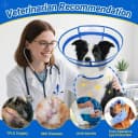 Dog Cone to Stop Licking — Clear Recovery Collar with Detachable Zipper