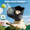 Soft Dog Cone Collar — Adjustable Elizabethan Anti-Lick Pet Recovery Collar